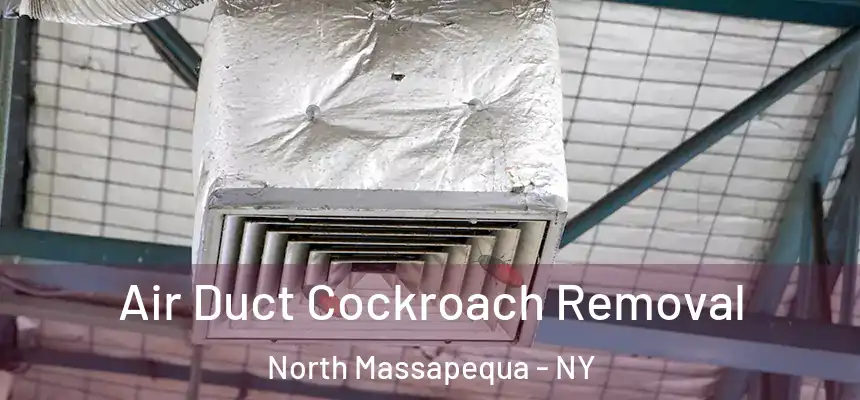  Air Duct Cockroach Removal North Massapequa - NY