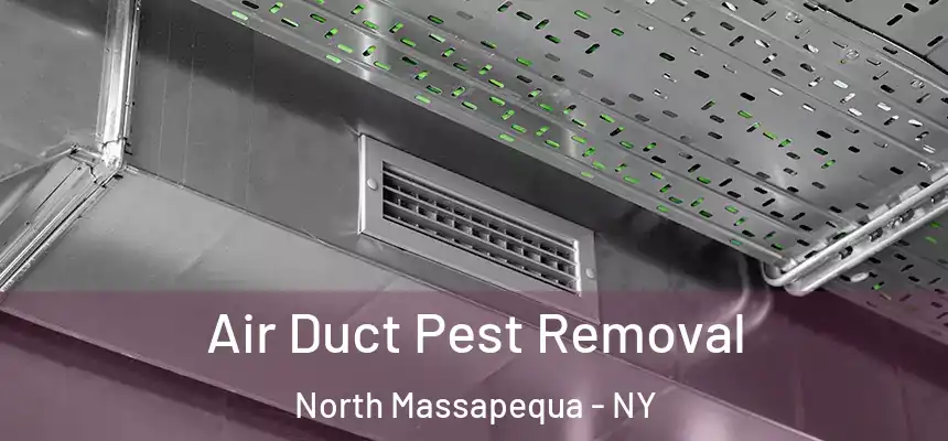  Air Duct Pest Removal North Massapequa - NY
