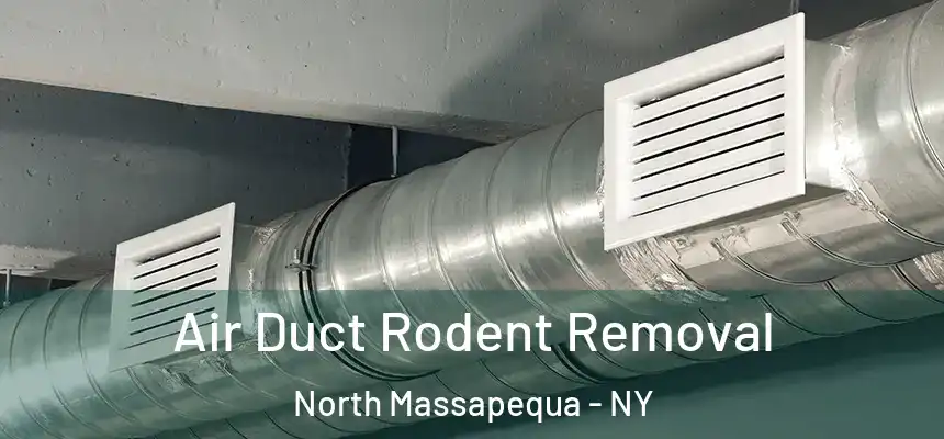  Air Duct Rodent Removal North Massapequa - NY