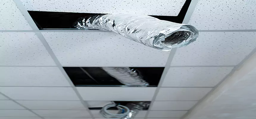 Affordable HVAC Sanitizing After Pest Removal in North Massapequa