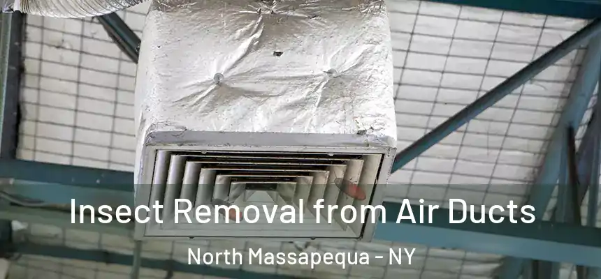  Insect Removal from Air Ducts North Massapequa - NY