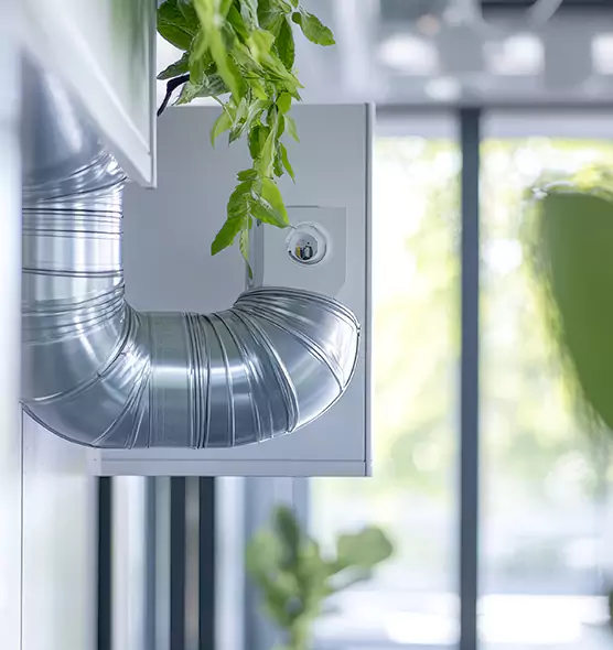 Professional Eco-Safe Dryer Vent Cleaning in North Massapequa, NY