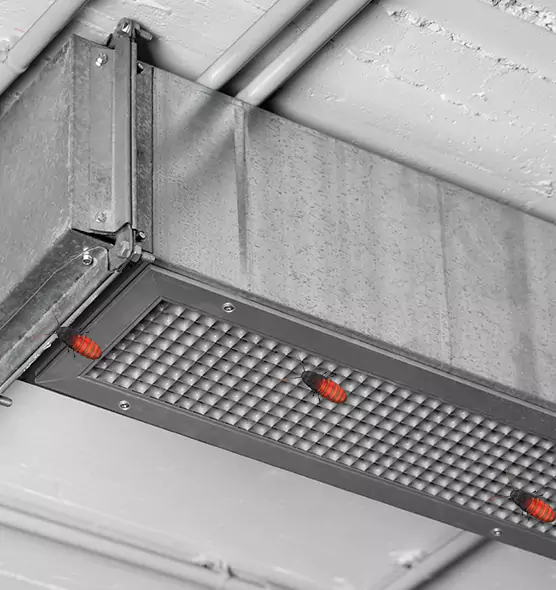 Affordable Insect Removal from Air Ducts in North Massapequa, NY