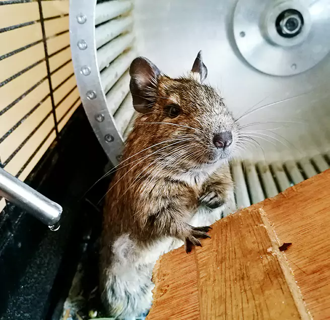 Why Homeowners & Businesses Trust Us North Massapequa, NY