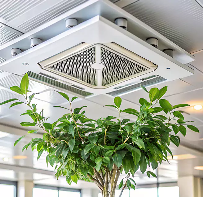 Why Homeowners & Businesses Trust Us in North Massapequa, NY?